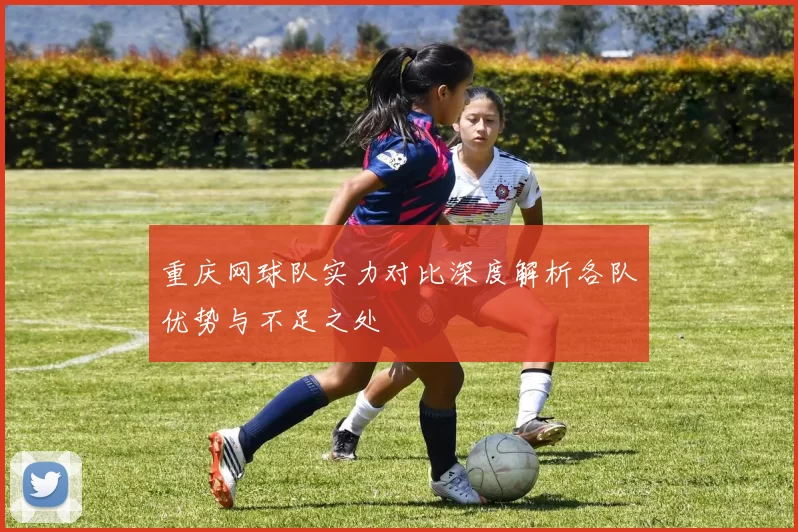 重庆网球队实力对比深度解析各队优势与不足之处