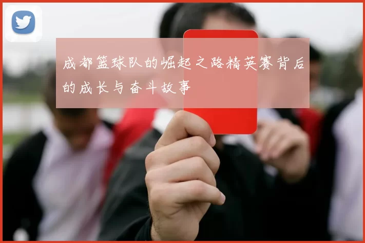 成都篮球队的崛起之路精英赛背后的成长与奋斗故事