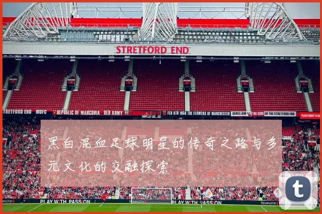 黑白混血足球明星的传奇之路与多元文化的交融探索