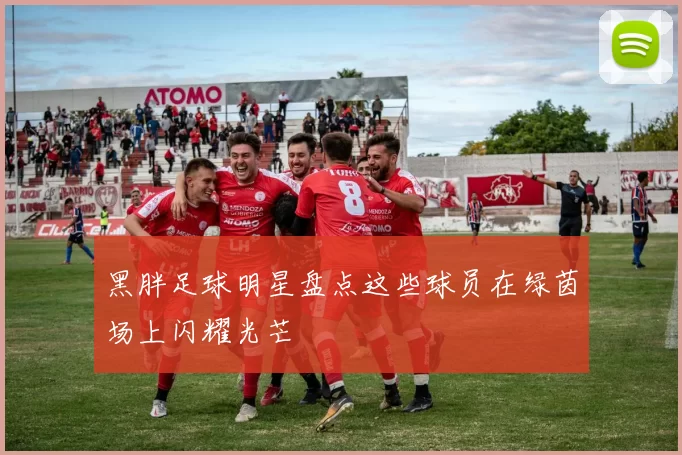 黑胖足球明星盘点这些球员在绿茵场上闪耀光芒