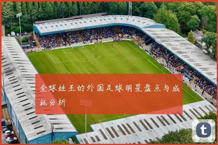 全球姓王的外国足球明星盘点与成就分析