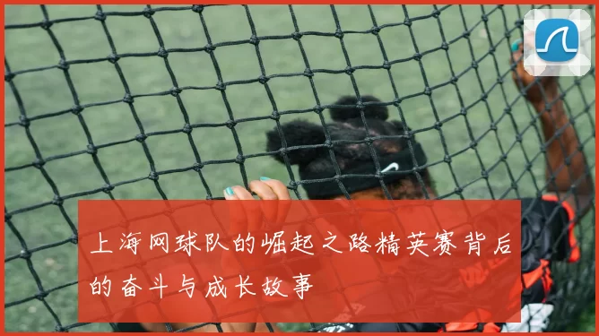 上海网球队的崛起之路精英赛背后的奋斗与成长故事