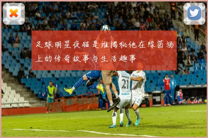足球明星夜猫是谁揭秘他在绿茵场上的传奇故事与生活趣事