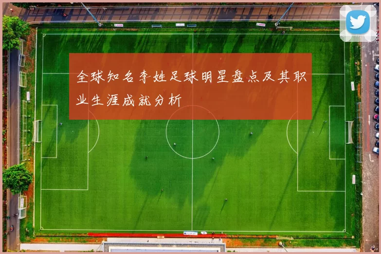 全球知名李姓足球明星盘点及其职业生涯成就分析