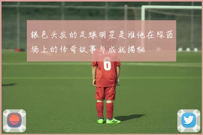 银色头发的足球明星是谁他在绿茵场上的传奇故事与成就揭秘