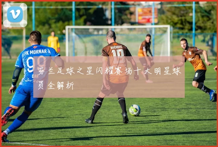 芬兰足球之星闪耀赛场十大明星球员全解析